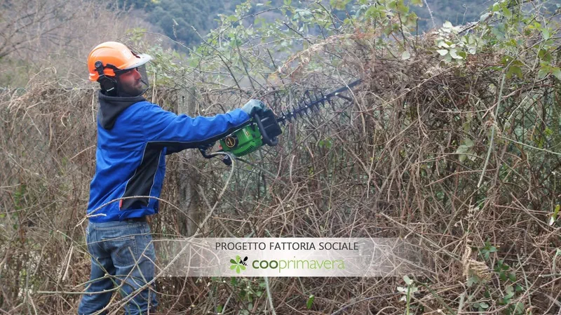 Operatore con casco e tagliasiepi tra i rovi