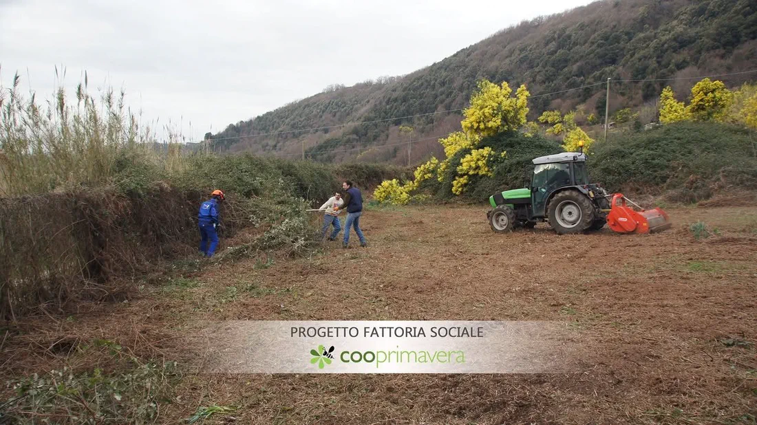 Trattore con trinciatrice al lavoro su un terreno coperto di rovi sul lago di Nemi