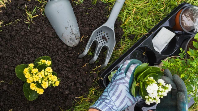 Giardiniere — operaio generico — offerta di lavoro Cooprimavera, Roma e Castelli Romani
