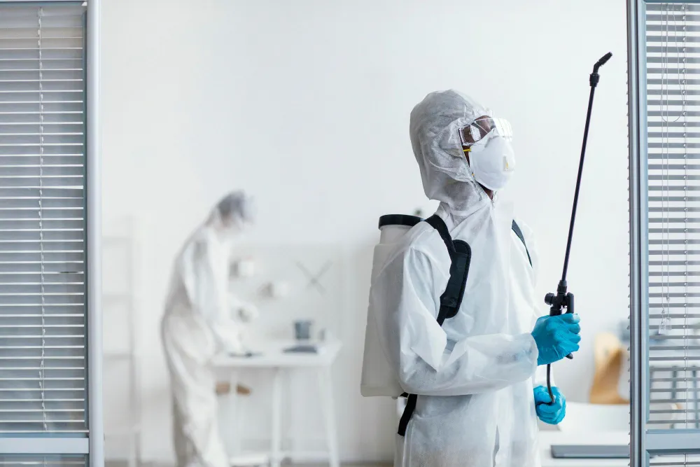 Squadra di disinfestazione al lavoro