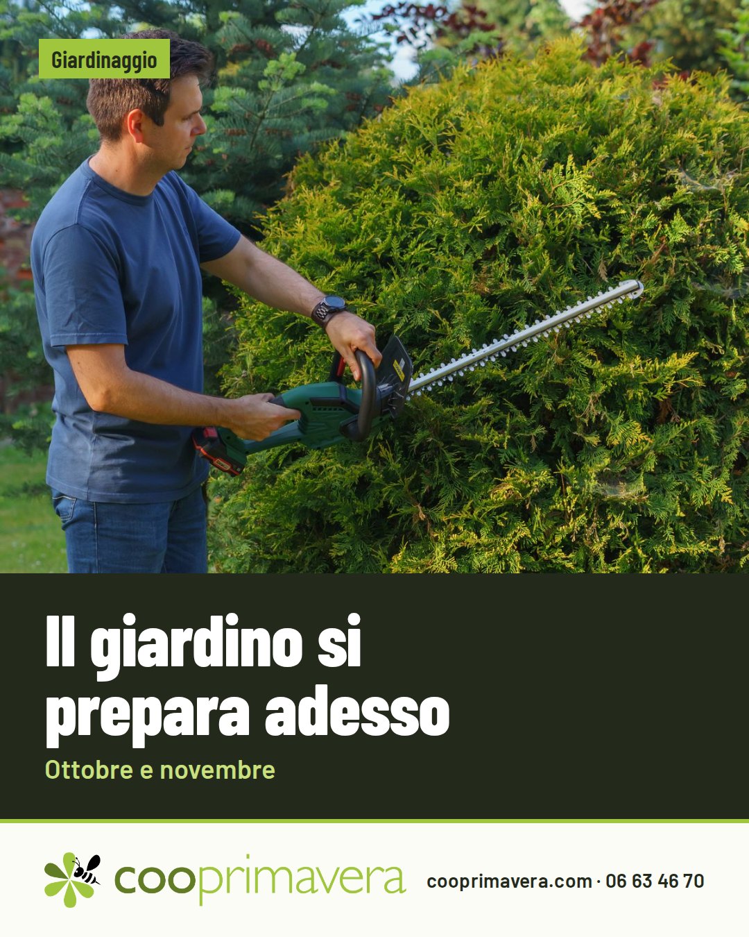 Grafica della notizia «Il giardino si prepara adesso»