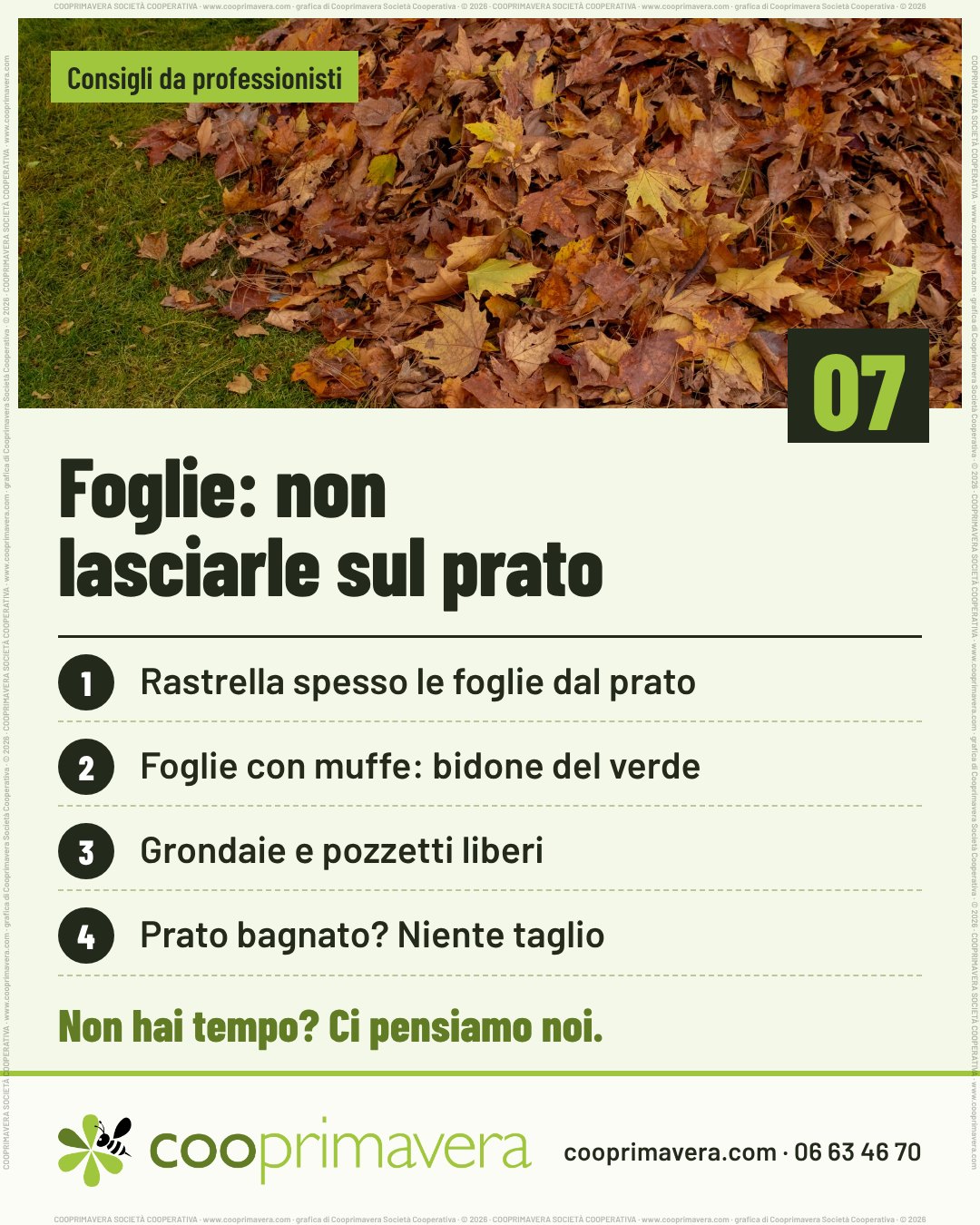Foto: foglie secche d'autunno ammucchiate sull'erba. Sulla foto «Consigli da professionisti» e, in basso a destra, il numero 07. Titolo: «Foglie: non lasciarle sul prato». Quattro punti numerati: 1. Rastrella spesso le foglie dal prato. 2. Foglie con muffe: bidone del verde. 3. Grondaie e pozzetti liberi. 4. Prato bagnato? Niente taglio. In fondo «Non hai tempo? Ci pensiamo noi.» e il logo di Cooprimavera con cooprimavera.com e 06 63 46 70.