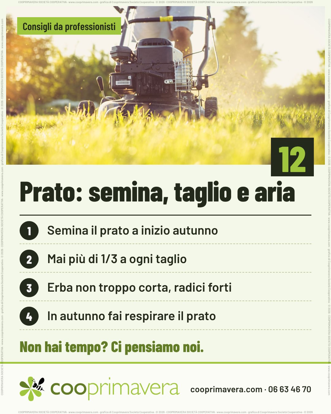 Foto: un tosaerba al lavoro su un prato, in controluce. Sulla foto «Consigli da professionisti» e, in basso a destra, il numero 12. Titolo: «Prato: semina, taglio e aria». Quattro punti numerati: 1. Semina il prato a inizio autunno. 2. Mai più di 1/3 a ogni taglio. 3. Erba non troppo corta, radici forti. 4. In autunno fai respirare il prato. In fondo «Non hai tempo? Ci pensiamo noi.» e il logo di Cooprimavera con cooprimavera.com e 06 63 46 70.